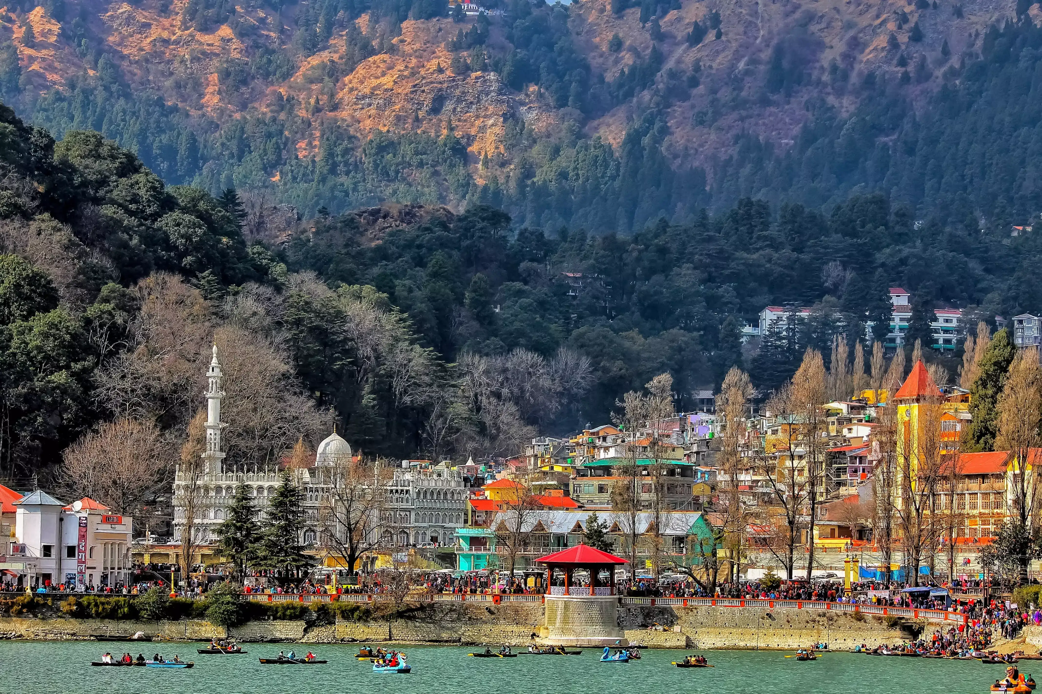 Family road trip to Nainital, showcasing the Lake District charm with serene lake, colorful town, and misty hills